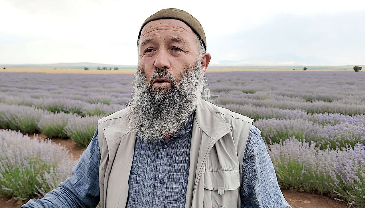 Kurak araziler mor tarlalara dönüştü! Konya Türkiye'de ilk 5'e girdi 8